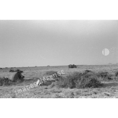 Cantonnement d'une unité blindée, sûrement le Panzer Regiment 5 (Pz.Rgt-5), dans le désert.