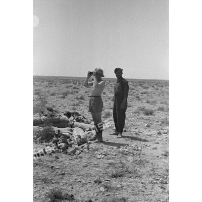 Un officier italien observe le terrain à la jumelle près d'une alvéole près d'un bersaglier.