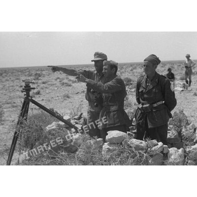 Deux officiers, l'un italien, l'autre allemand, observent le terrain en compagnie d'un bersaglier.