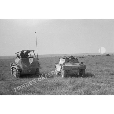 Un semi-chenillé Sd.Kfz 250/3 de la 3e batterie du Panzer Artillerie Regiment 155 (Pz.Art.Rgt-155) à côté d'un véhicule de prise Daimler Scout Car.
