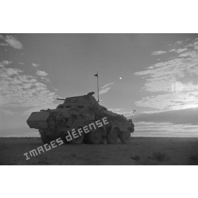 Un blindé SdKfz-231 roule dans le désert au crépuscule.