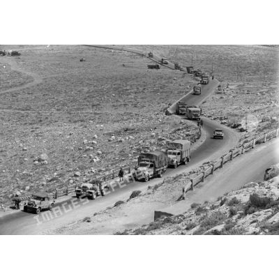 Des véhicules de la 5-Leicht Division roulent en colonne sur la via Balbia.