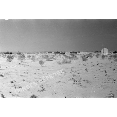 Des éléments du Panzer-Regiment 8 (Pz.Rgt-8) en formation de combat dans le désert.
