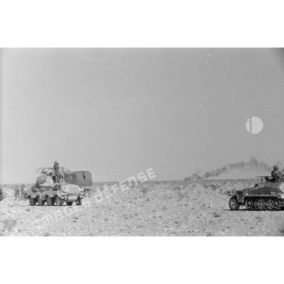 Des blindés Sd.Kfz-232 et Sd.kfz-250/3 à l'arrêt et observation à la jumelle.