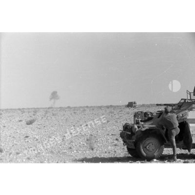 Observation d'un tir d'artillerie à la jumelle par un membre de l'équipage d'un blindé SdKfz-222.