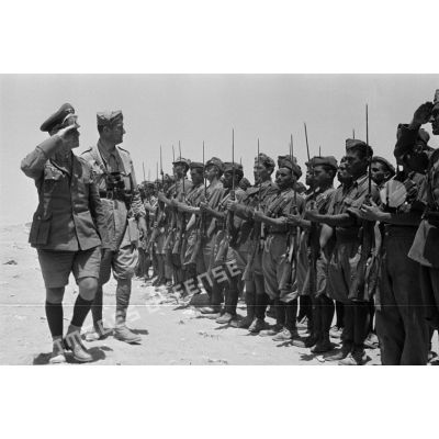 Le général Erwin Rommell et Pardi passent des troupes italiennes en revue.