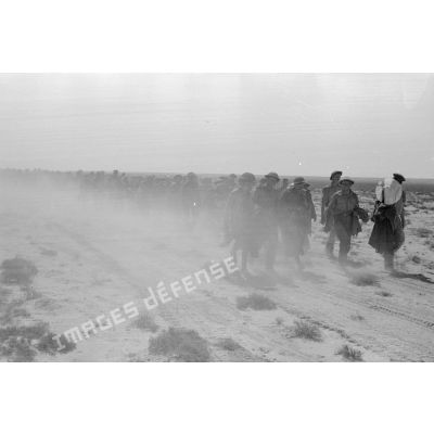 Une colonne de prisonniers britanniques marche sur une piste dans le désert.