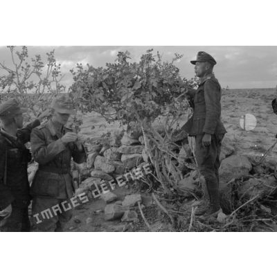 Des soldats dont un lieutenant (Leutnant) cueillent les fruits d'un arbuste.