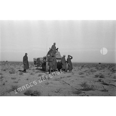 Les chars italiens M13/40 progressent dans le désert en colonne.
