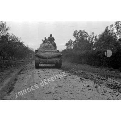 Un char italien M13/40 progressant sur une route bordée d'arbres.