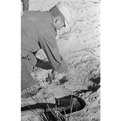 Des soldats creusent des trous pour y déposer des mines antipersonnel.