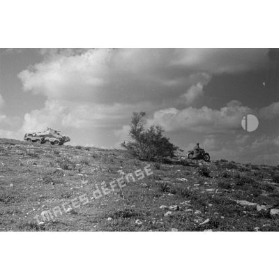 Un blindé SdKfz-231 et une moto passent la crête d'une colline près d'un arbuste.