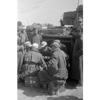 Des soldats appartenant à une unité de chars jouent aux cartes près d'un char Pz-III.
