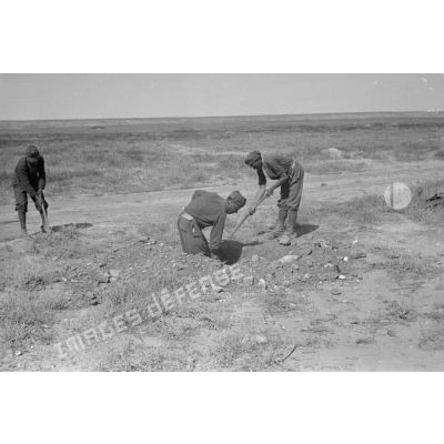 Des soldats italiens creusent avec des pelles et des pioches.