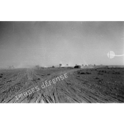 Des véhicules allemands roulent dans le désert en provoquant des nuages de poussière.
