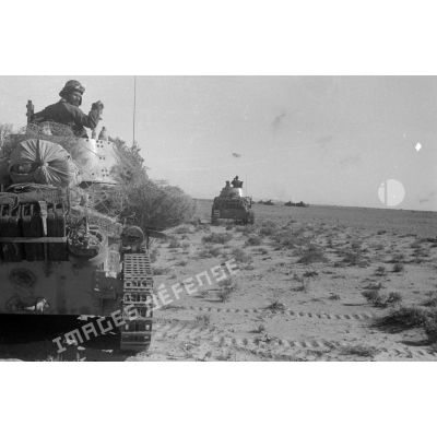 Des chars italiens de M13/40 ou M14/41 en colonne dans le désert.