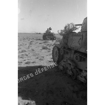 Des chars italiens de M13/40 ou M14/41 en colonne dans le désert.