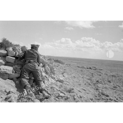Rommel en compagnie de différents officiers observe le terrain où se déroule les combats.