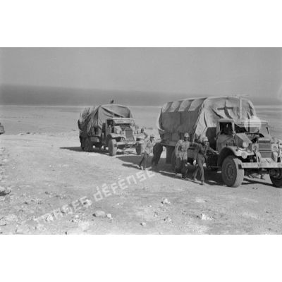 Une colonne de véhicules vers la passe d'Halfaya, ici des Ford 3T d'origine britannique.