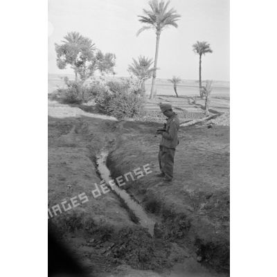 Culture irriguée et palmiers, un Leutnant prend des notes sur le système d'irrigation.