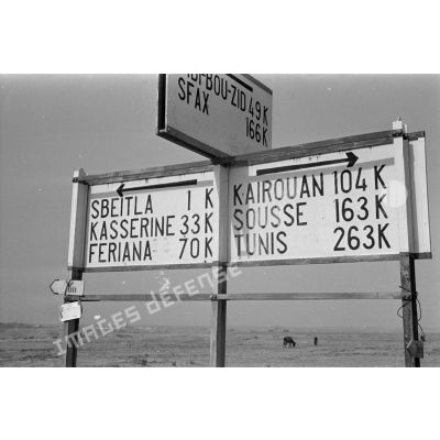 Panneau indicateur sur la route de Sbeitla. Un autre panneau indique l'axe de progression de la 10e division blindé allemande (10-Pz.Div.)
