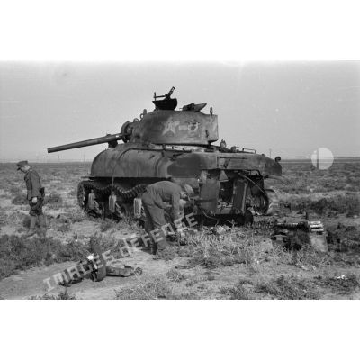 Des soldats s'affairent autour de la carcasse d'un char américain Sherman M4A1 détruit, sur le canon de 75 mm, on note le prénom Joyce.