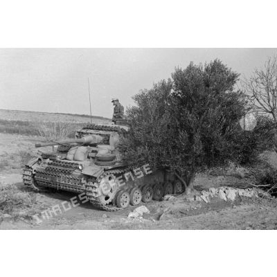 Un char Panzer III (Pz-III Ausf-L) dont l'équipage a en partie débarqué, est posté sous un arbre.