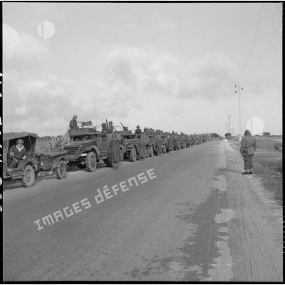 Convoi de véhicules légers Scout car M3A1 du 2e régiment de zouaves (RZ) rentrant au camp d'Arzew après un exercice.