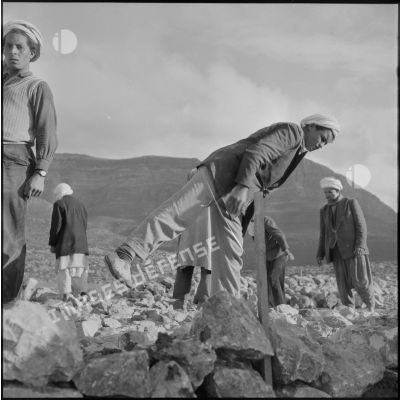 Travailleurs algériens sur un chantier de voirie dans la Section administrative spécialisée (SAS) de Khemis.