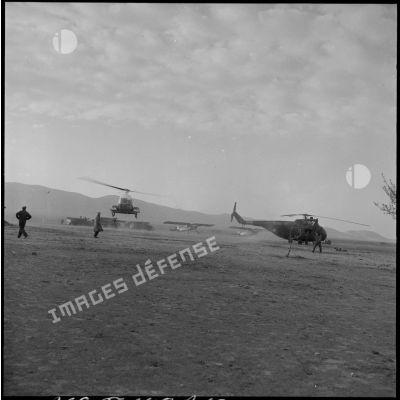 Arrivée de blessés lors d'une opération dans le Djebel Chelia (Aurès) par hélicoptères de transport.