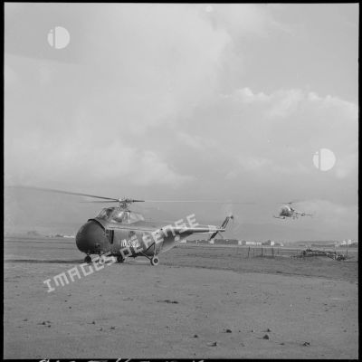Atterissage d'hélicoptères de transport Sikorsky H-19 et Bell 47 sur un terrain près du Djebel Chelia.