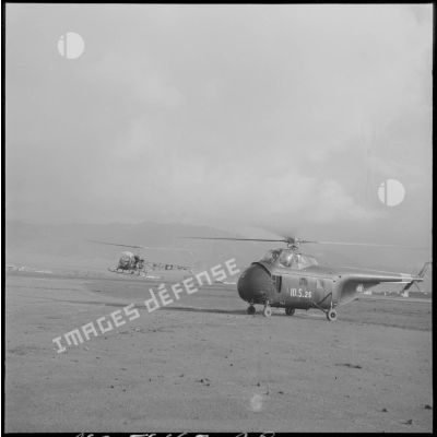 Atterissage d'hélicoptères de transport Sikorsky H-19 et Bell 47 sur un terrain près du Djebel Chelia.