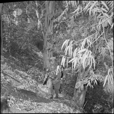 Retour d'une patrouille de voltigeurs dans une forêt de Kabylie lors de l'opération Basque.