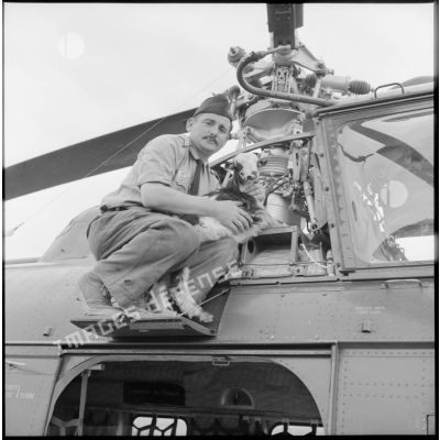Portrait d'un sergent-chef de l'armée de l'Air avec une chèvre sur un hélicoptère Sikorsky H-19 à Tlemcen.