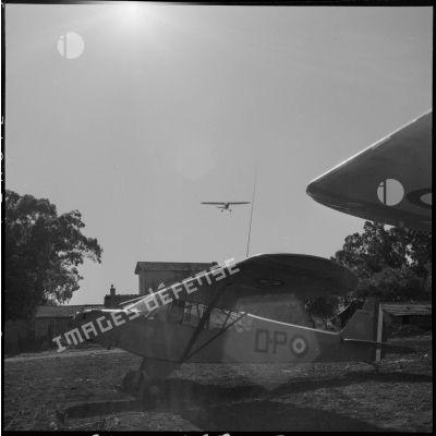 Retour d'un avion Piper L 18 C après une mission effectuée dans le djebel, dans la région de Bouïra.