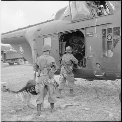 Embarquement de soldats d'un peloton cynophile à bord d'un hélicoptère Sikorsky.