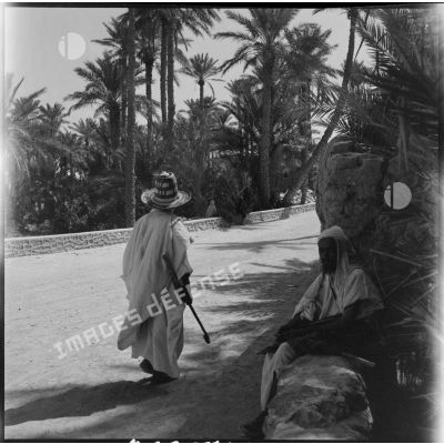 Des villageois de Colomb Béchar aux abords de la palmeraie.