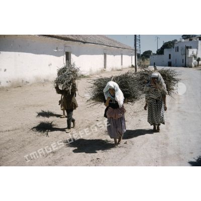 [Femmes algériennes portant des fagots de bois, 1956-1958.]