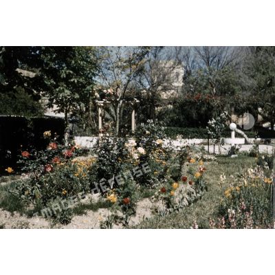 HM 307, Tlemcen, le jardin. [légende d'origine]