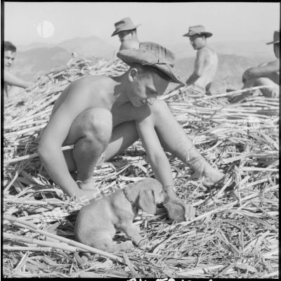 Le soldat Maurice Tiphagne de la 1re compagnie du 45e BIC donnant de l'eau à son petit chien Jojo.