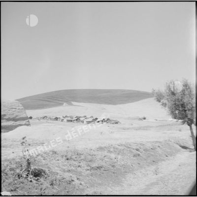Un village dans la région d'Aïn Temouchent.