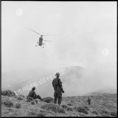 Un hélicoptère Piasecki  venant déposer des éléments du 94e régiment d'infanterie (RI) sur le djebel près de Bou Hammama.