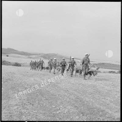 Le peloton cynophile du 5e régment étranger d'infanterie (REI) en manoeuvre d'entraînement.