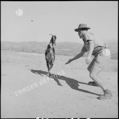 Un soldat du 28e BCA joue avec la chèvre "Tintin", la mascotte du bataillon.