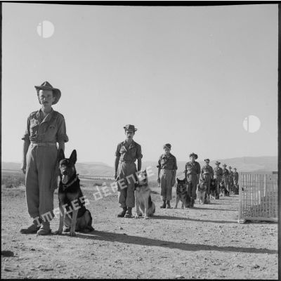 Les soldats du 4e peloton cynophile posent avec leurs chiens.