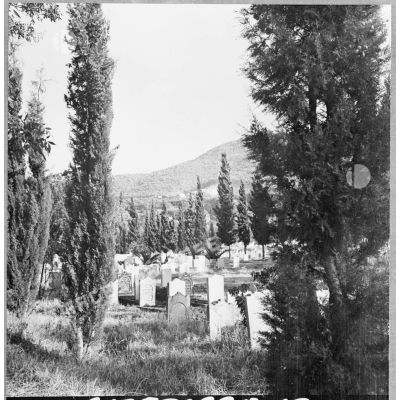 Le cimetière musulman de la ville de Tlemcen.