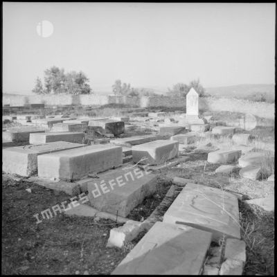 Vue du cimetière israélite de Tlemcen (?).