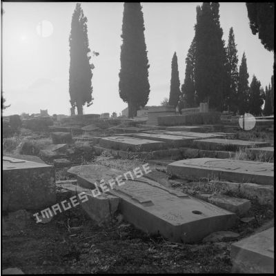 Vue du cimetière israélite de Tlemcen (?).