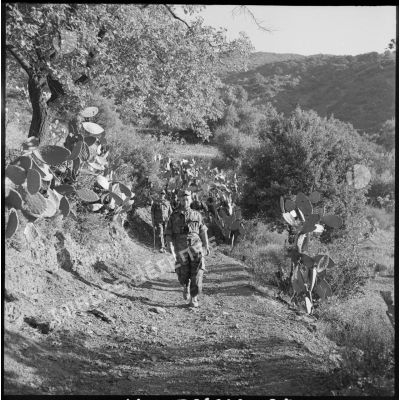 Une colonne du 2e régiment de parachutistes coloniaux (RPC) menée par le colonel Château-Jobert progresse dans la montagne Chréa.