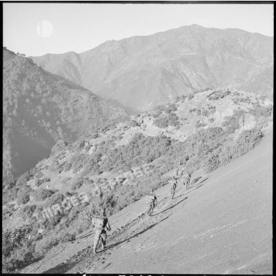 Progression d'une colonne du 2e régiment de parachutistes coloniaux (RPC) dans la montagne Chréa.